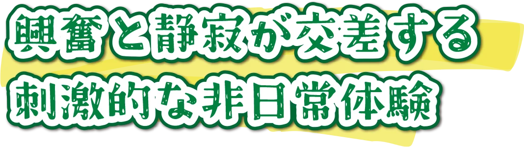 興奮と静寂が交差する刺激的な⾮⽇常体験